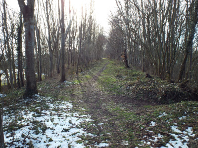 10/03, old railway embankment? Bridge 39.