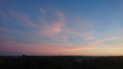 Dawn or Dusk?