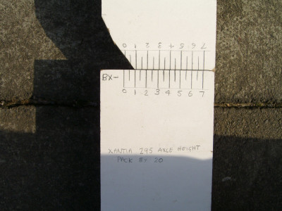 SettingScales.JPG
