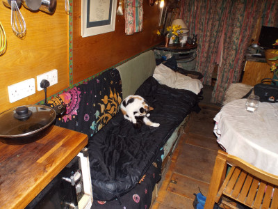 Mums' cat Amber (within 30 seconds of me putting out my sleeping bag, as was her wont!)