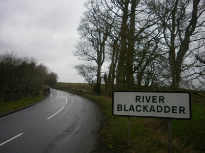 Falcon Original Blackadder