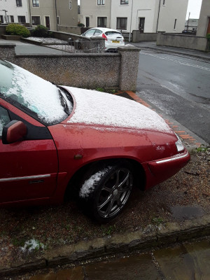 snow.jpg
