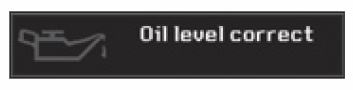oil 1.JPG
