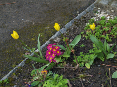 AA080969.JPG