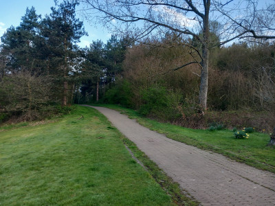 20230409_071755.jpg