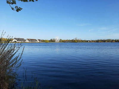 20230413_080857.jpg