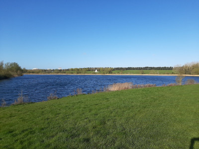 20230413_082720.jpg