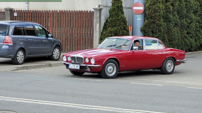 Red Jag.png