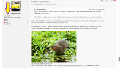 Click to enlarge<br />Screenshot Trivia Investigation Thread