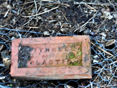Withnell Plastic