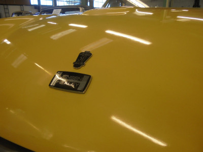 the badge enhances the shiny yellow