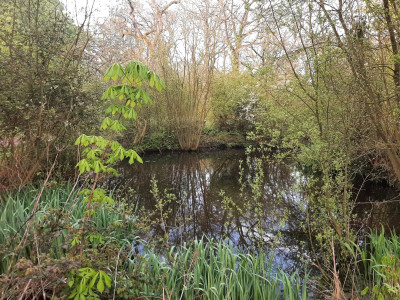 20230429_071615.jpg