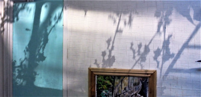 The shadows on the wall