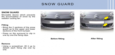 snow guard.PNG