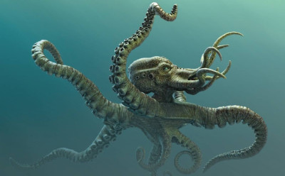 The Kraken