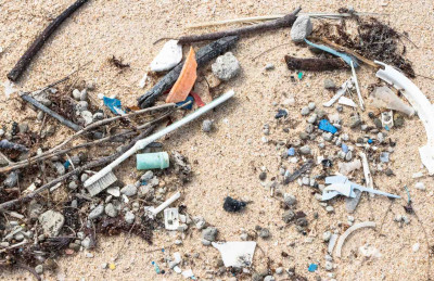 Litter on a beach.jpg
