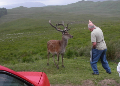 A82 towards Crianlarich 0551.JPG