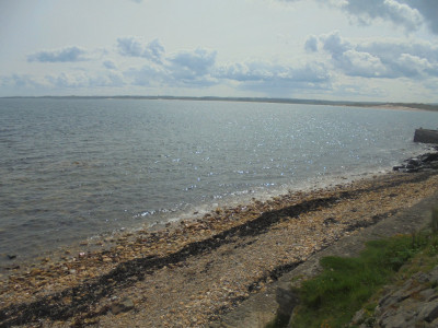 DSC03780.JPG