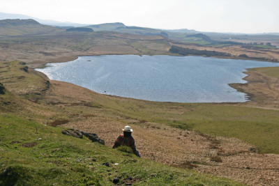 Neil, Newcastle Falcon, Northumberland<br />MK own work