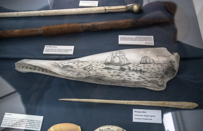 Scrimshaw.jpg