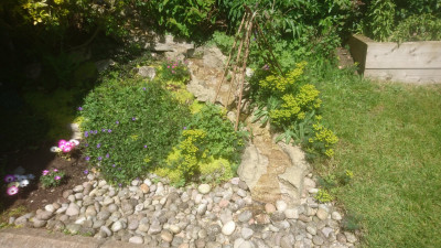 Our Waterfall on its daily run!!