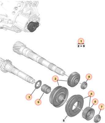 ocmil Bling Gear set.PNG