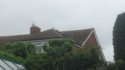 MTM Original - Neighbour's new extension