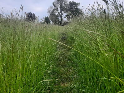 20230608_064445.jpg