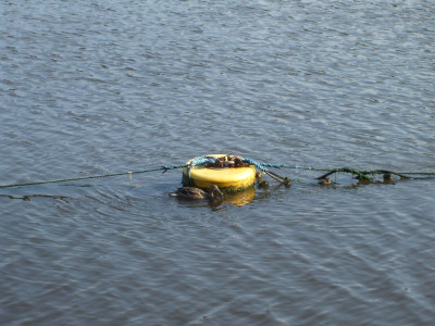 DSCF3818.JPG