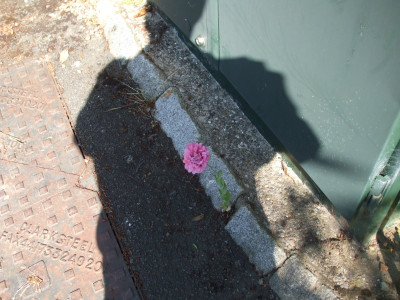 DSCF3824.JPG
