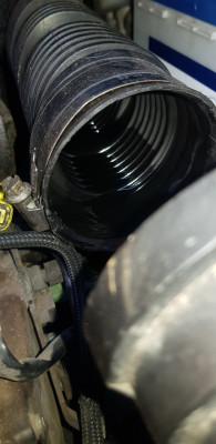 Excessive oil