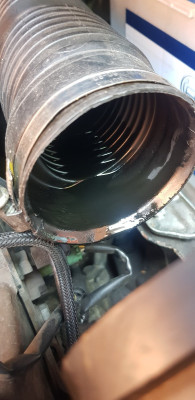 Excessive oil