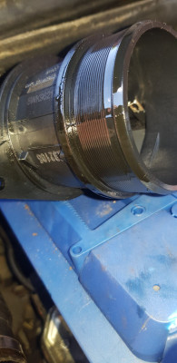 Excessive oil?
