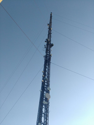 IMG_20230614_203341260a.jpg