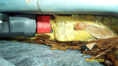 Additive ECU - Signs of mice.JPG