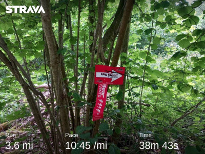 strava4954278813460917757.jpg