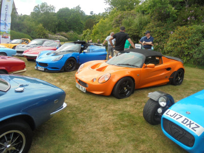 Many coloured Lotus<br />Falcon  Original