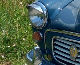 Falcon Extract<br />CitroJim Original<br />AA Badge in corner