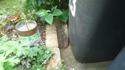 Then down the ramp past the wheelie bins to lower patio
