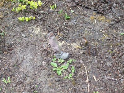 DSCF3890.JPG