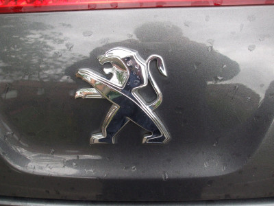 DSCF3900.JPG