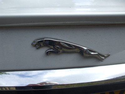 DSCF3891.JPG