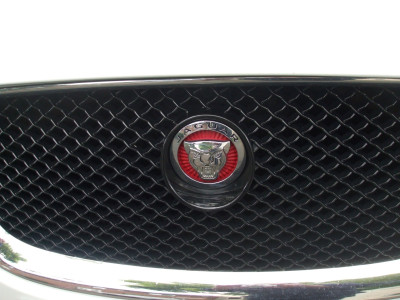 DSCF3892.JPG