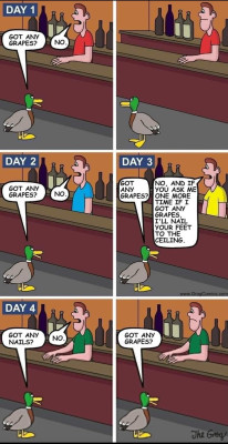duck.jpg