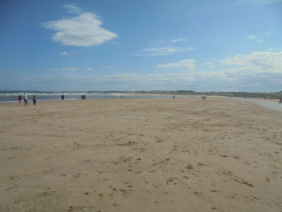 Falcon Original<br />half-ish beach half-ish sky