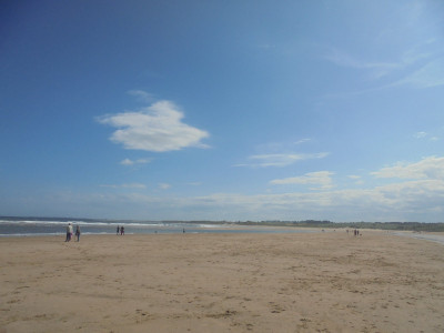 Falcon Original<br />More sky than beach