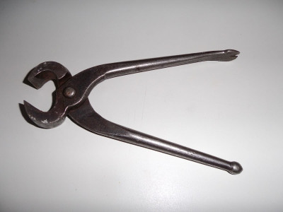pincers.jpg