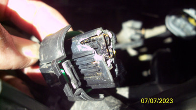 101_9074.JPG