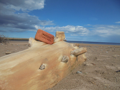 Falcon Original<br />Spittal Beach