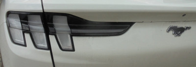 Falcon Original<br />Hexham Mustang